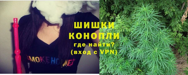 стаф Абинск