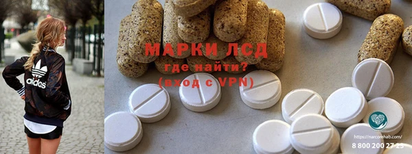 стаф Абинск