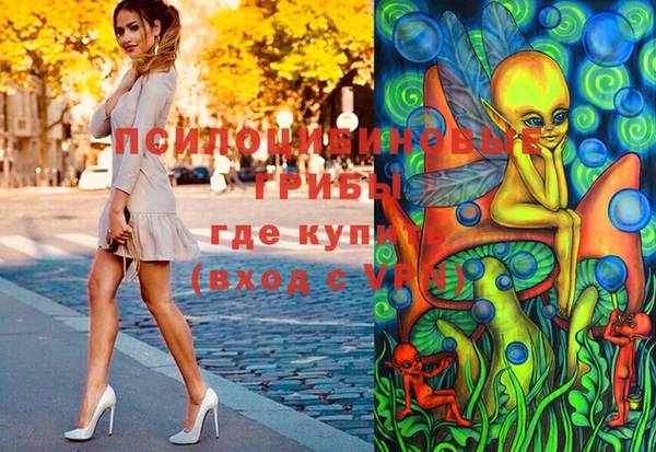 стаф Абинск